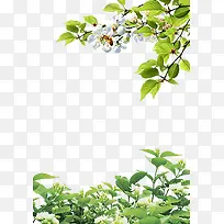 树-空若网 树-空若网