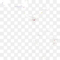 白色白鸽成群结队-空若网 白色白鸽成群结队-空若网