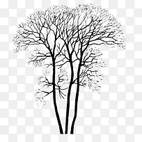 落叶的树png图片-空若网 落叶的树png图片-空若网