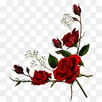 彩色玫瑰春天-空若网 彩色玫瑰春天-空若网