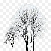 凄凉寒冬雪树-空若网 凄凉寒冬雪树-空若网