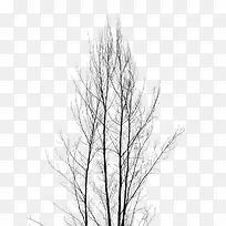 �����ɪ�����-������