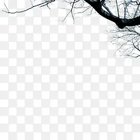 冬季里的枯树枝-空若网 冬季里的枯树枝-空若网