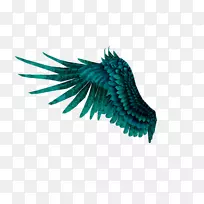 ����-������