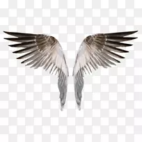 »æ»¼ôÌù»-³á°ò-¿ÕÈôÍø »æ»¼ôÌù»-³á°ò-¿ÕÈôÍø