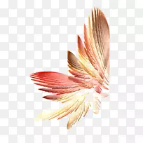 画电视-翅膀-空若网 画电视-翅膀-空若网