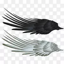 机翼桌面壁纸夹艺术.翅膀-空若网 机翼桌面壁纸夹艺术.翅膀-空若网