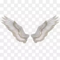 桌面壁纸机翼摄影.翅膀-空若网 桌面壁纸机翼摄影.翅膀-空若网