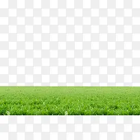 ��ƺ-������