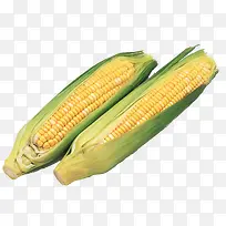 蔬菜图标食物图标 精美清新玉米-空若网 蔬菜图标食物图标 精美清新玉米-空若网