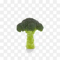 花菜-空若网 花菜-空若网