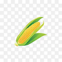 玉米-空若网 玉米-空若网