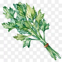 �ֻ�һ���۲�-������