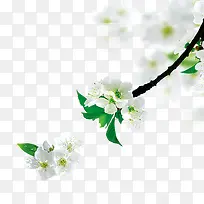 �滨��֦-������