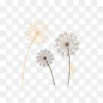 手绘蒲公英下载-空若网 手绘蒲公英下载-空若网