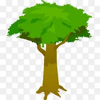 ��ͨ��ľ-������