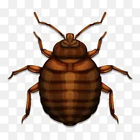 卡通可爱小动物装饰动物头像蟑螂-空若网 卡通可爱小动物装饰动物头像蟑螂-空若网