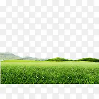 绿色,草地,淘宝素材,草元素-空若网 绿色,草地,淘宝素材,草元素-空若网