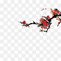 寒冬腊梅素材-空若网 寒冬腊梅素材-空若网