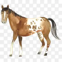 ��ͨ�ɰ�С����װ�ζ���ͷ��-������