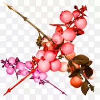 石榴果葡萄果小红石榴实物-空若网 石榴果葡萄果小红石榴实物-空若网