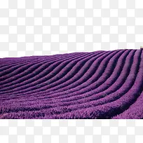 ׳¹ÛѬÒ²Ý-¿ÕÈôÍø ׳¹ÛѬÒ²Ý-¿ÕÈôÍø