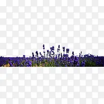 ѬÒ²ÝÐ´Õæ-¿ÕÈôÍø ѬÒ²ÝÐ´Õæ-¿ÕÈôÍø