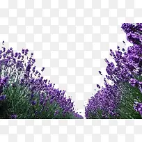 ׳��Ѭ�²�-������