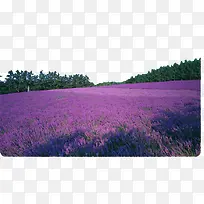 婚纱摄影基地-空若网 婚纱摄影基地-空若网