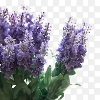 Ѭ�²�ͼ-������