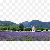 ����޹�²�ׯ԰-������