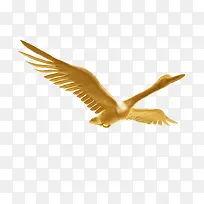 飞翔的鸟-空若网 飞翔的鸟-空若网