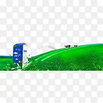 ��Ʒʵ�ﻪ����ţ��-������