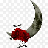 �����ϵİ���-������