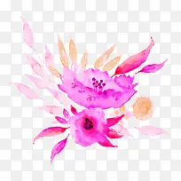 粉色水彩植物花朵设计插画-空若网 粉色水彩植物花朵设计插画-空若网