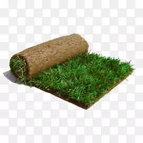 ����é����ݳ���ƺ��-����-������