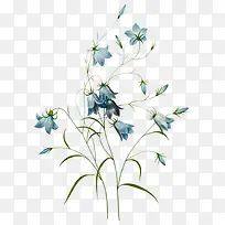 �ֻ滨����֦-������