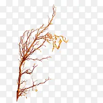 ��ɫ���Ƶ���֦-������