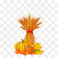 ����Ĺ�ʵ-������