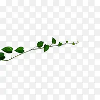 草-空若网 草-空若网