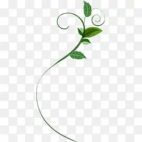 绿色清新小草-空若网 绿色清新小草-空若网