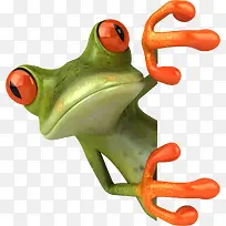 手绘青蛙-空若网 手绘青蛙-空若网