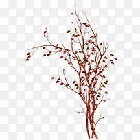 Ò»Ò¶ÖªÇï-¿ÕÈôÍø Ò»Ò¶ÖªÇï-¿ÕÈôÍø