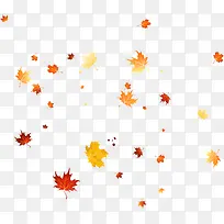 唯美多彩枫叶-空若网 唯美多彩枫叶-空若网