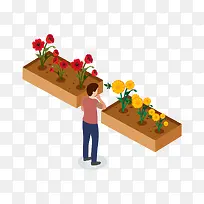 2.5D��԰����������廭-������