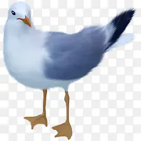 ���ӷ��ز�-������