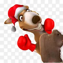 可爱的小毛驴-空若网 可爱的小毛驴-空若网