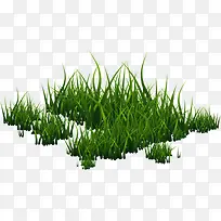 一片小草-空若网 一片小草-空若网