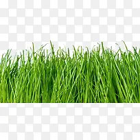 ²Ýƺ-¿ÕÈôÍø ²Ýƺ-¿ÕÈôÍø