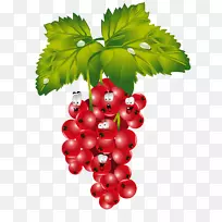 红醋栗黑醋栗覆盆子恶棍-空若网 红醋栗黑醋栗覆盆子恶棍-空若网